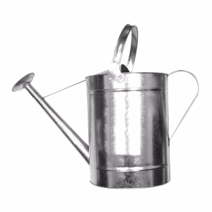 Fragram Galvanised Watering Can - 10 Litre Capacity