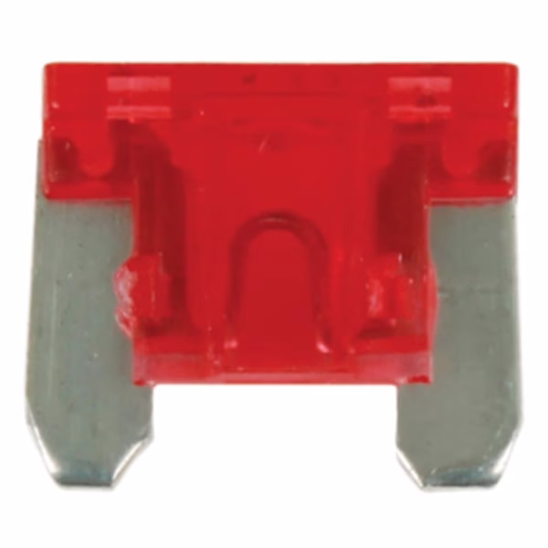 Automotive Plug-In Fuses - 10 Amp (Pack of 100)