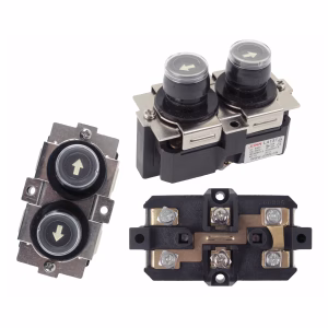Replacement Switch Controller for 220 Volt 500-1000kg Electric Hoist